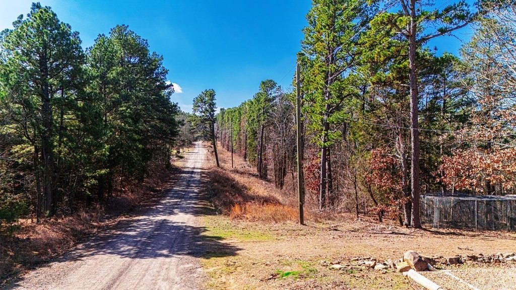 Picture 8
