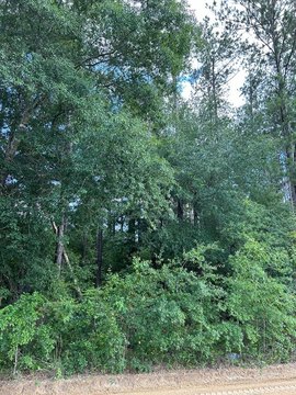 Abbeville, GA Land For Sale