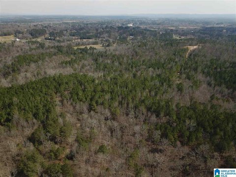 LAND/LOTS, WARRIOR, AL
