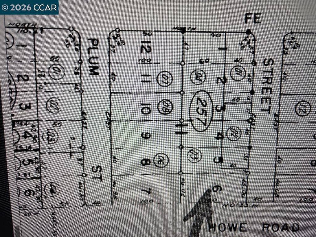 Picture 3