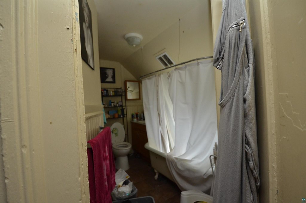 Picture 11