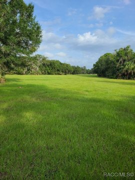 LAND - Crystal River, FL