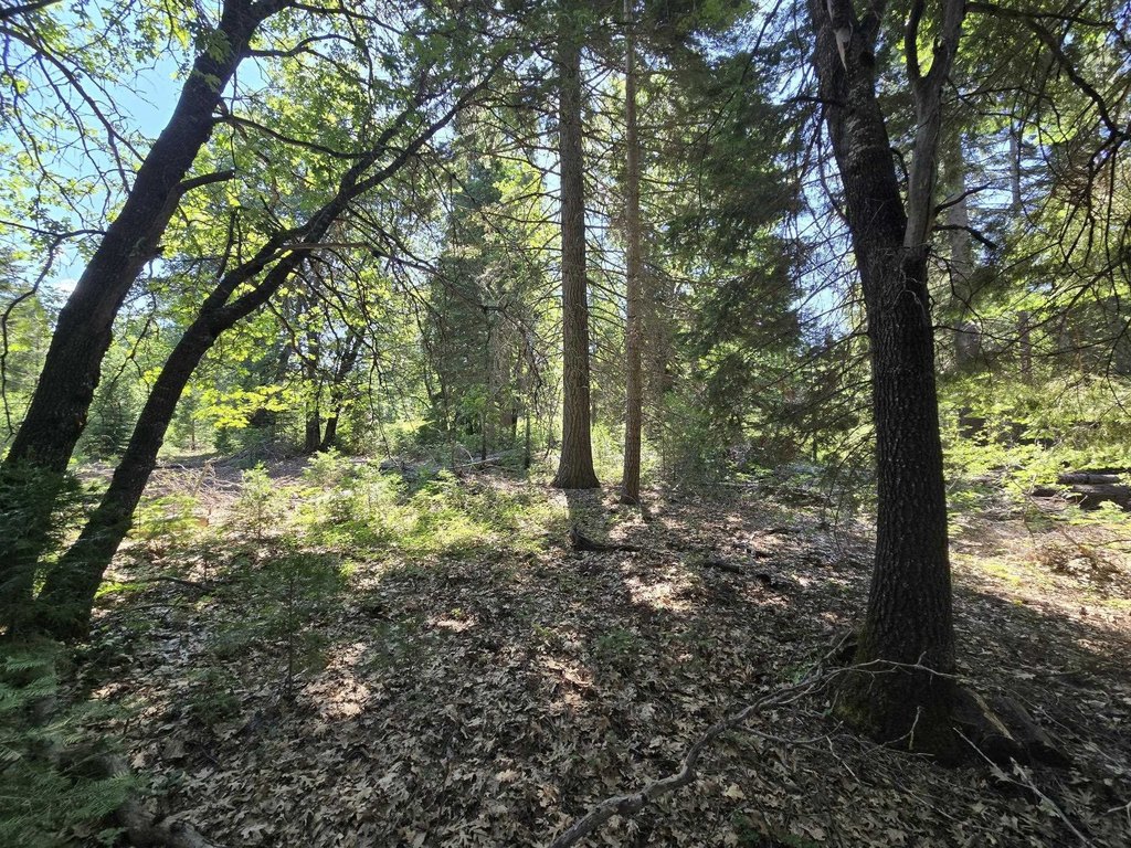 Picture 10