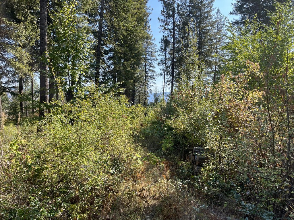Picture 18
