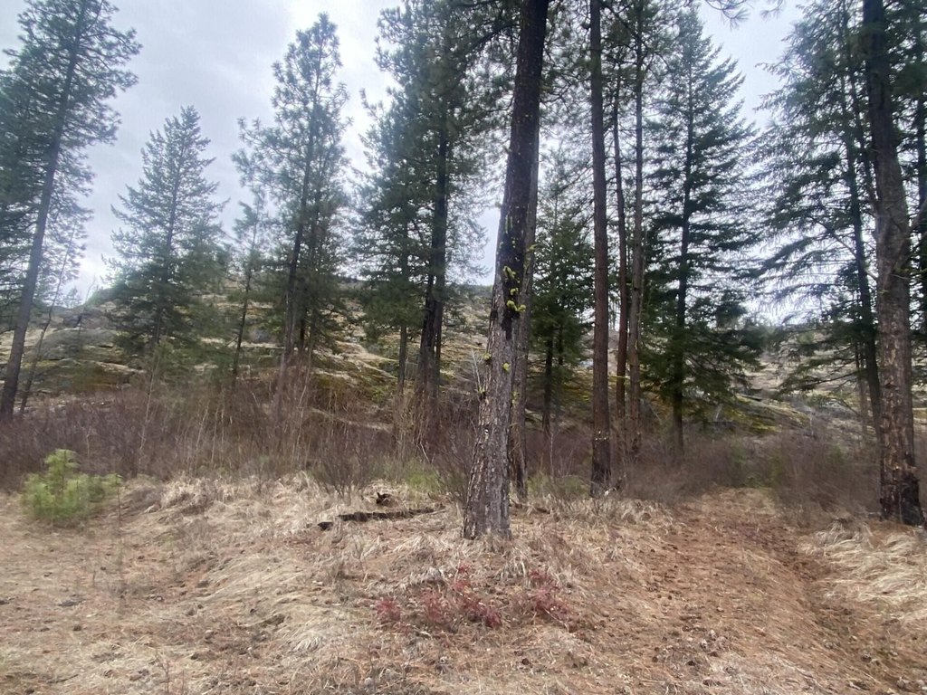 Picture 34