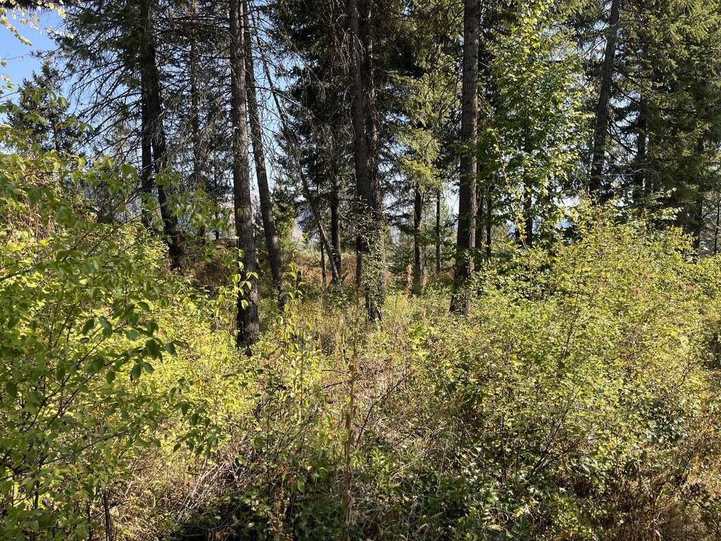 Picture 14