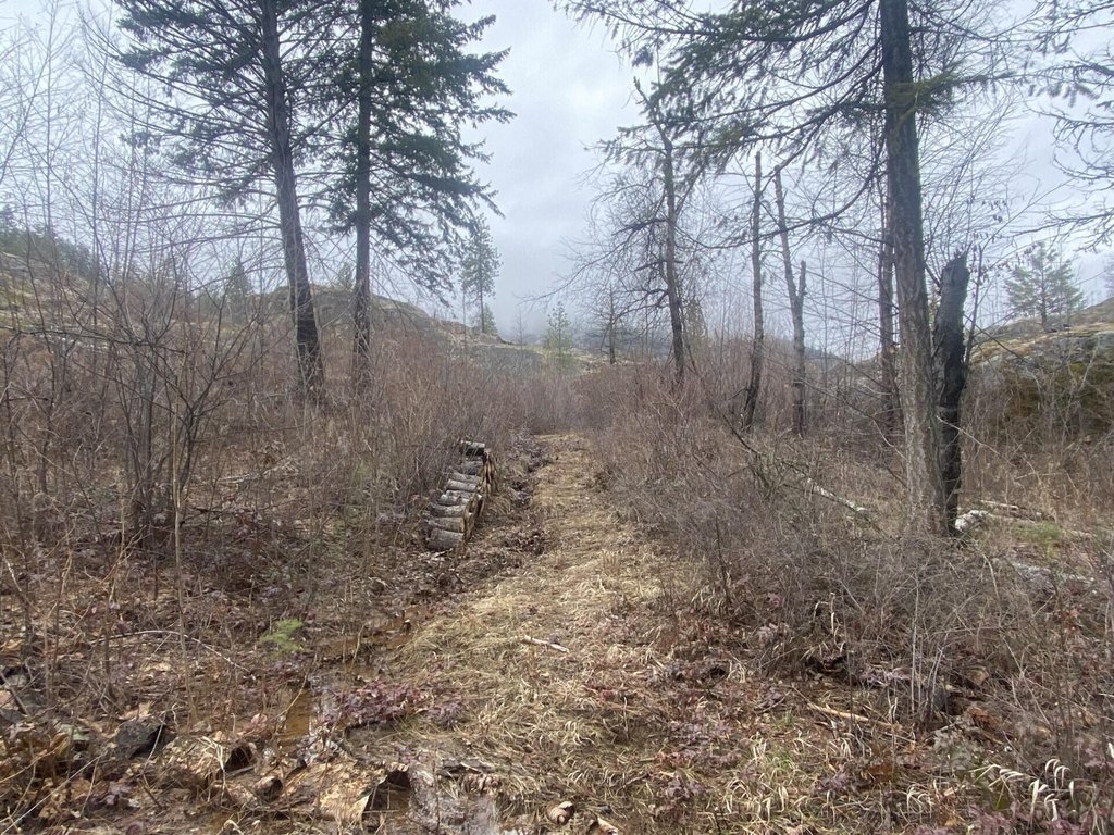 Picture 51