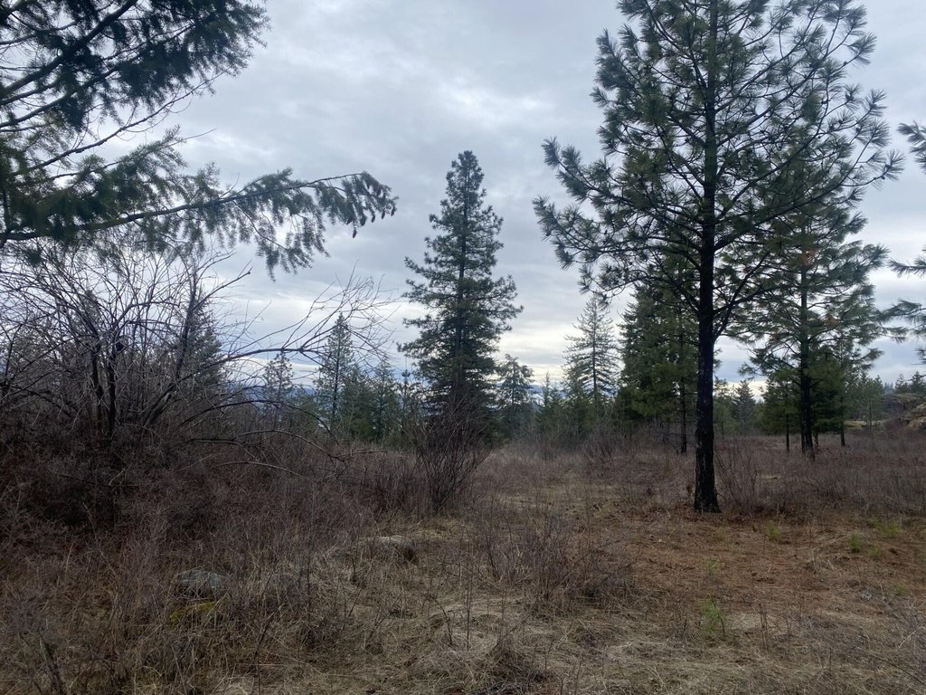 Picture 46