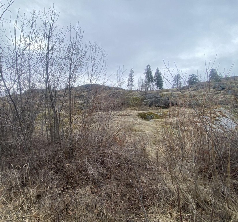 Picture 38