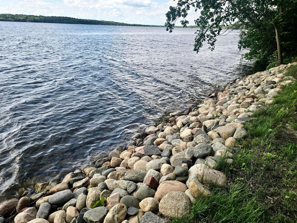 Picture 5