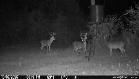 40-Acre Hunting Land with Food Plots