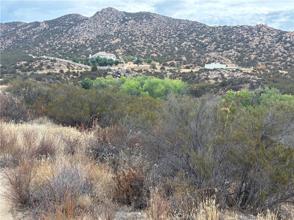 Picture 7