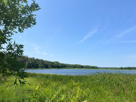Wooded Lakefront Recreation Land