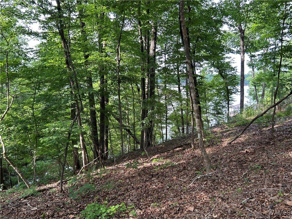 Waterfront Lot in Edgewater Subdivision