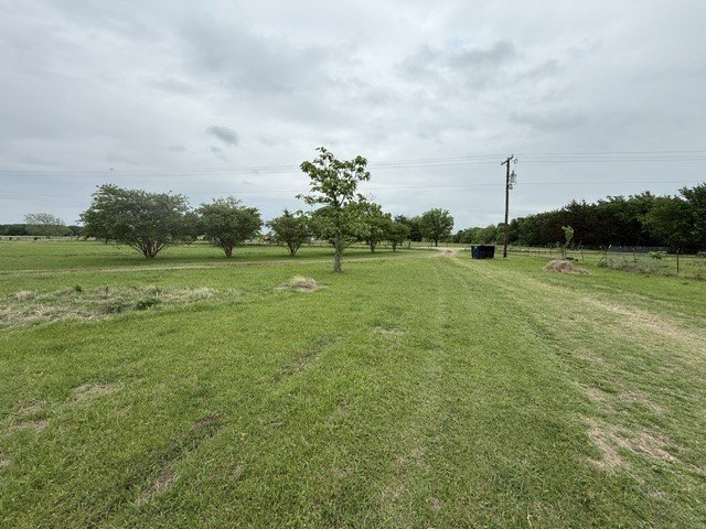 Picture 12