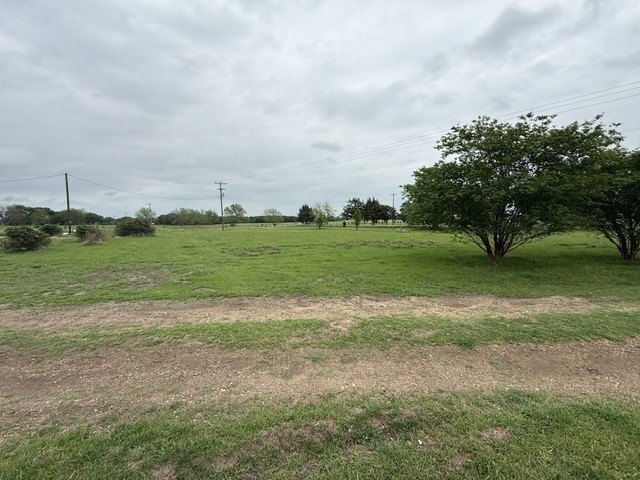 Picture 15