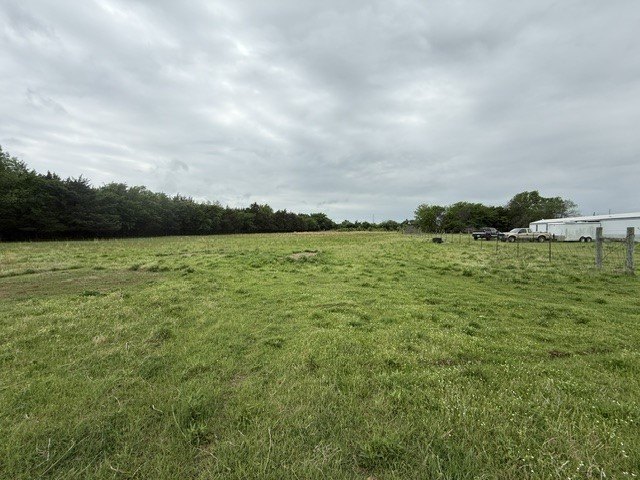 Picture 8