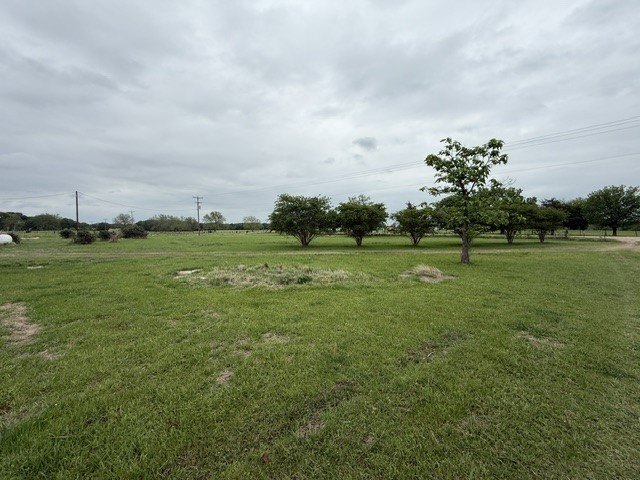 Picture 11