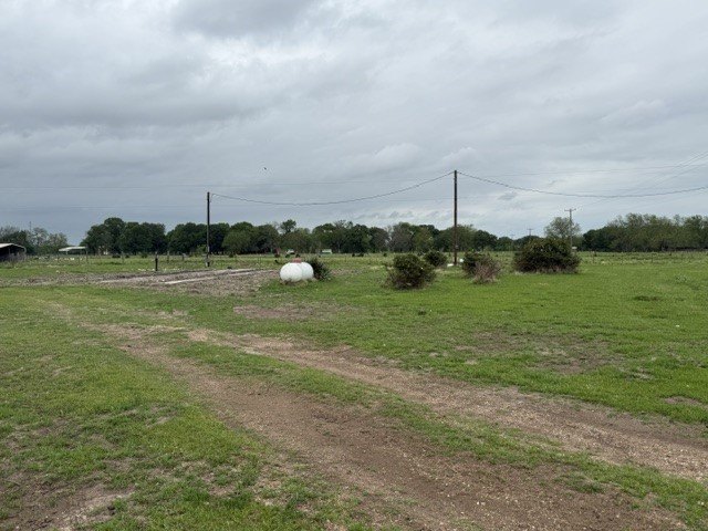 Picture 14