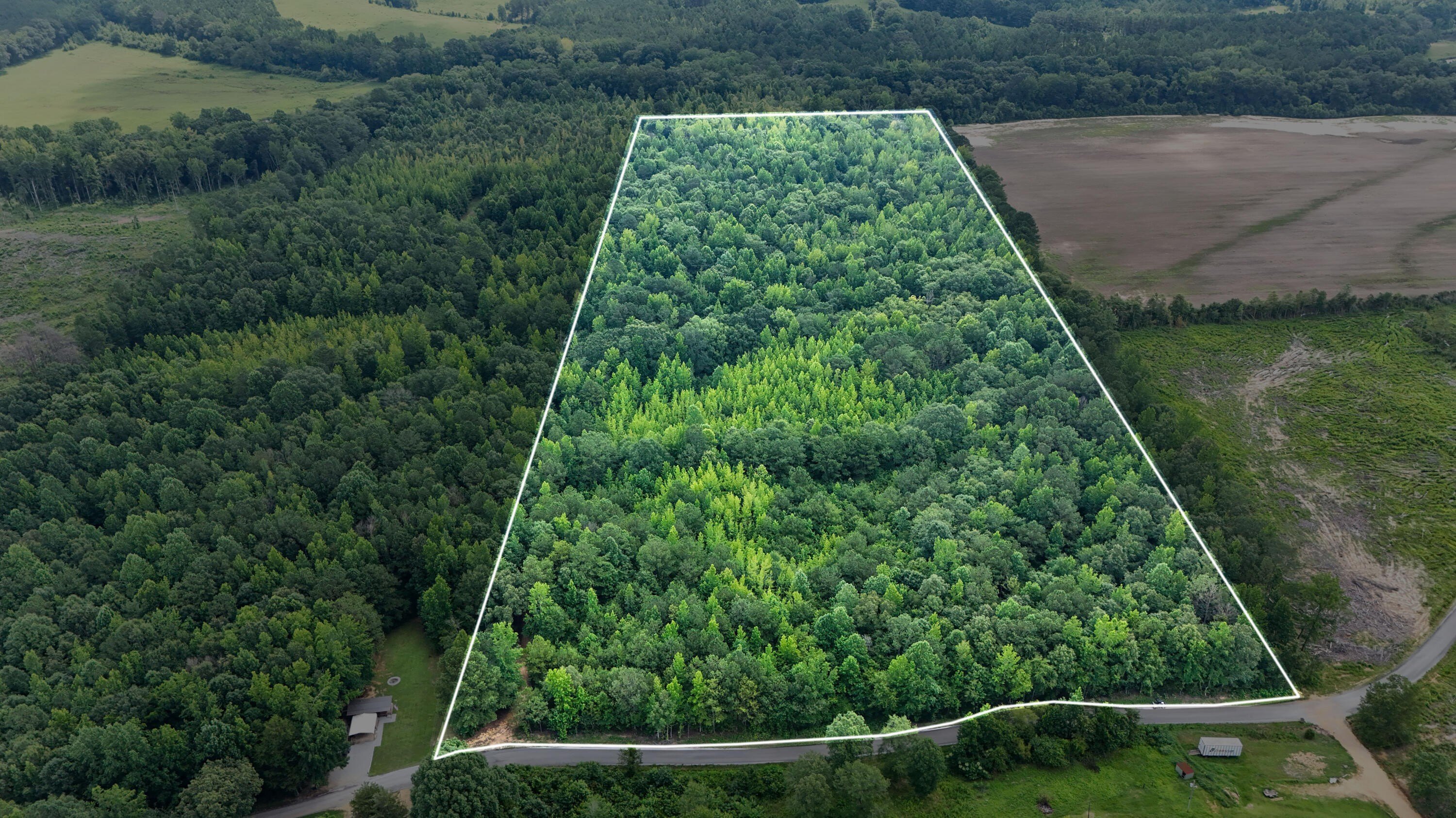 31 Acres Wooded Land, Golden