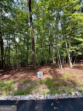 Land, Blue Ridge, GA