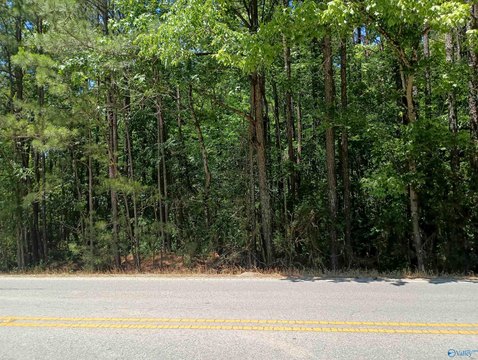 Commercial Land on Sutton Bridge