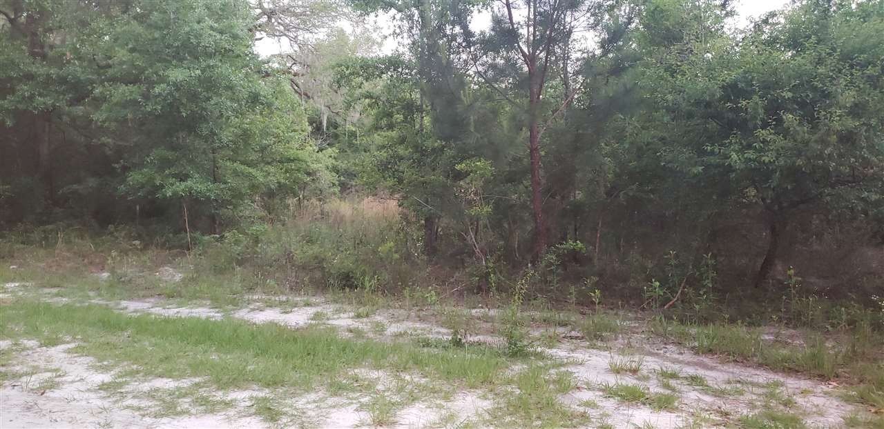 Crawfordville Land with Planted Timber