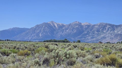 LAND - Minden, NV