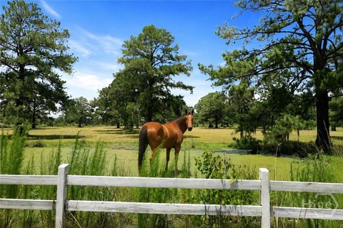 218 Acres Coastal Land Savannah