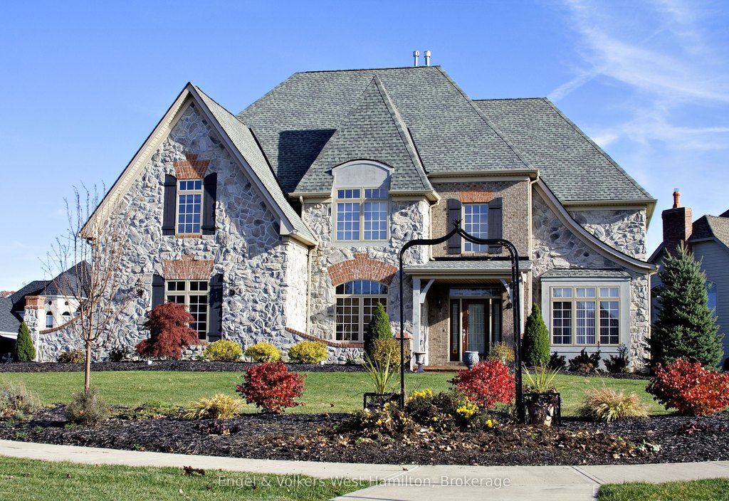 Picture 7