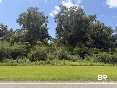 LAND - Walnut Hill, FL