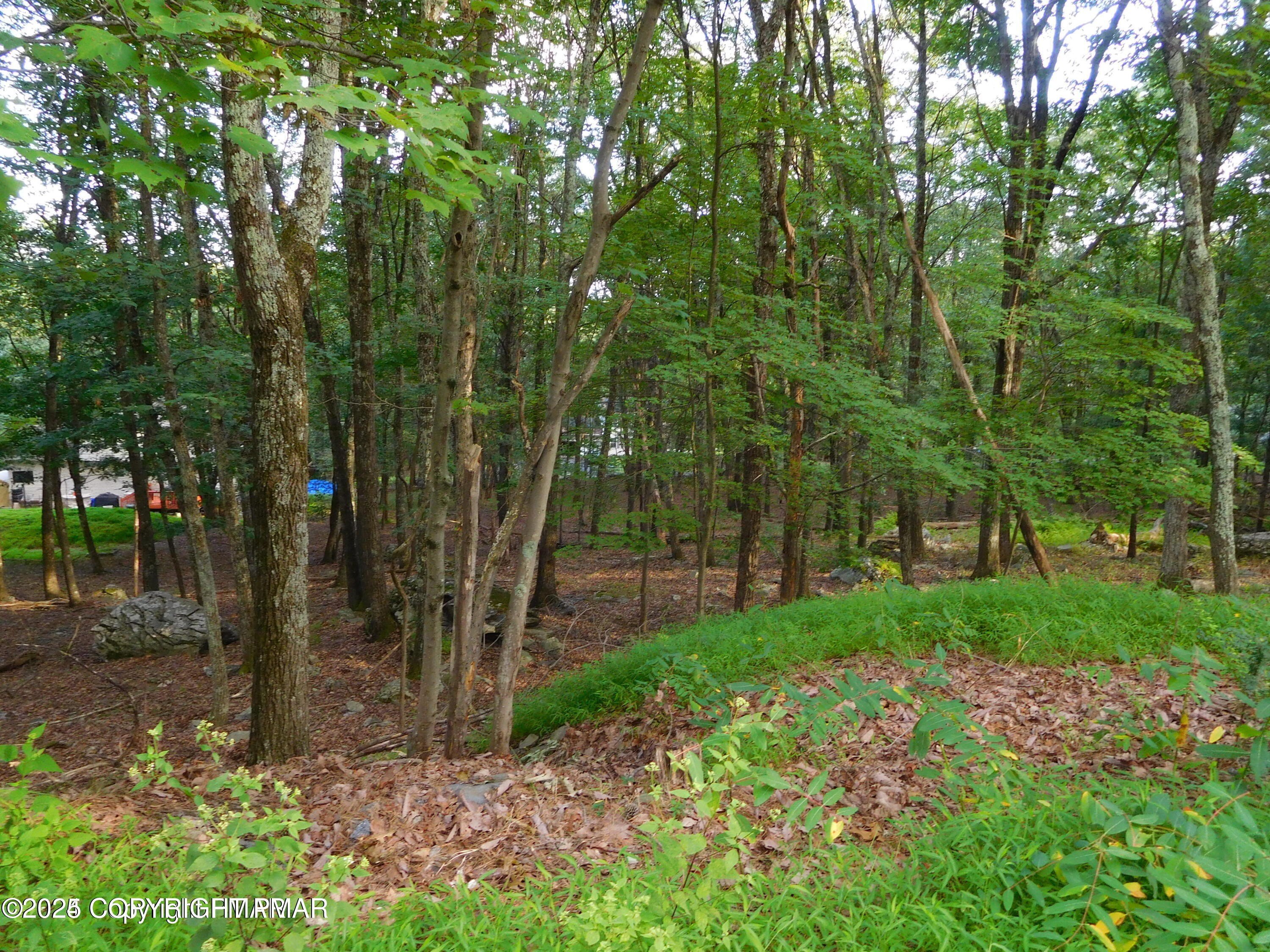 Wooded Building Lot in Poconos