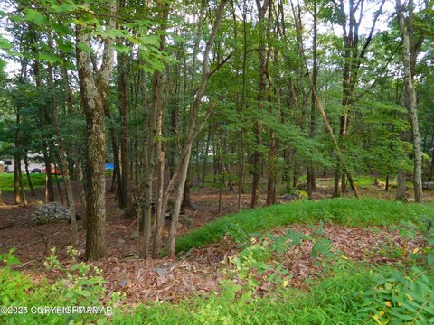 Wooded Building Lot in Poconos