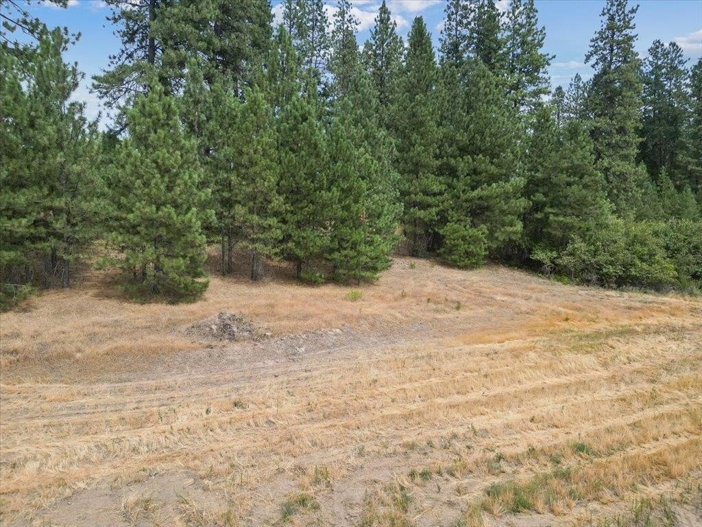 Picture 13