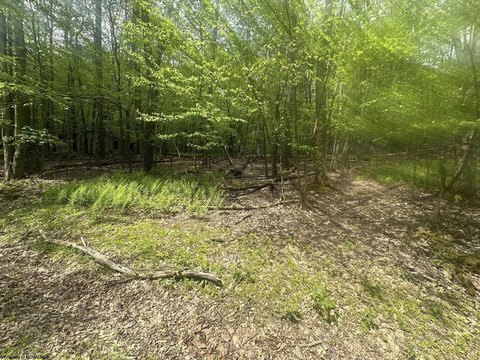 LAND - Terra Alta, WV