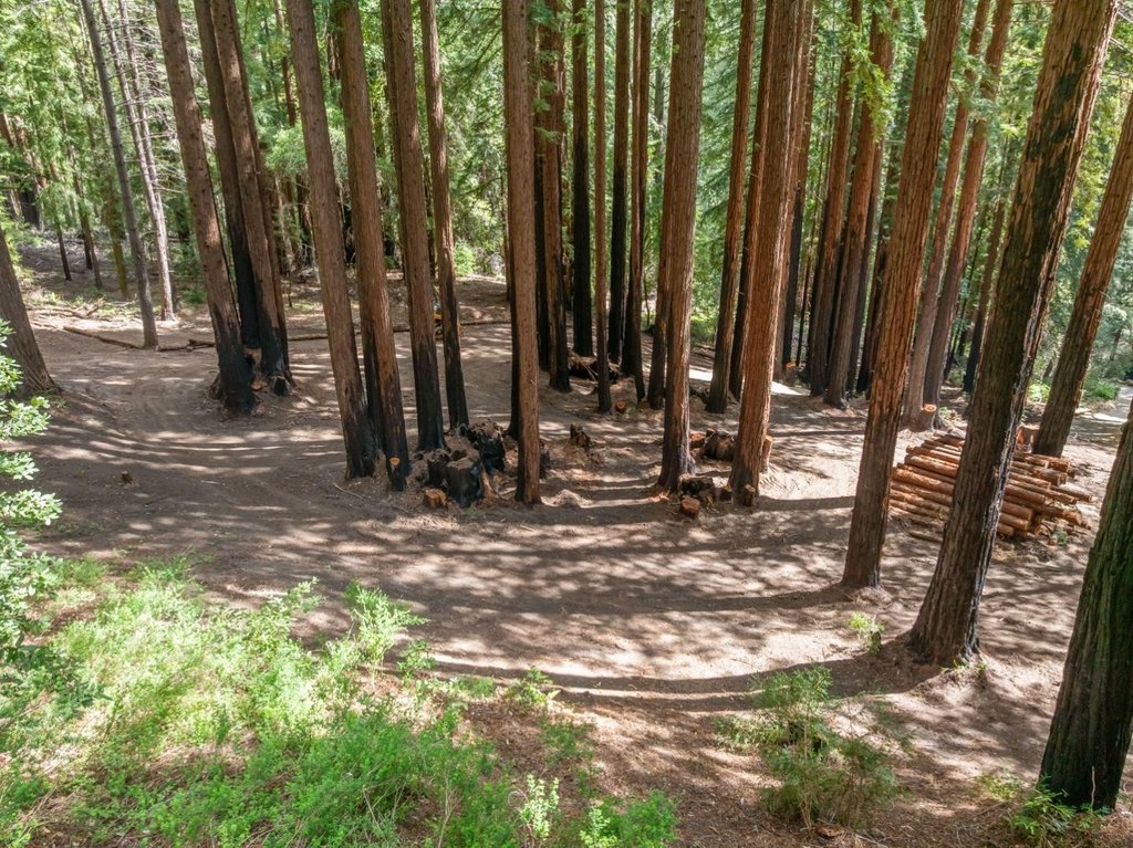 Picture 25