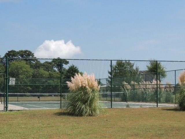 Picture 10