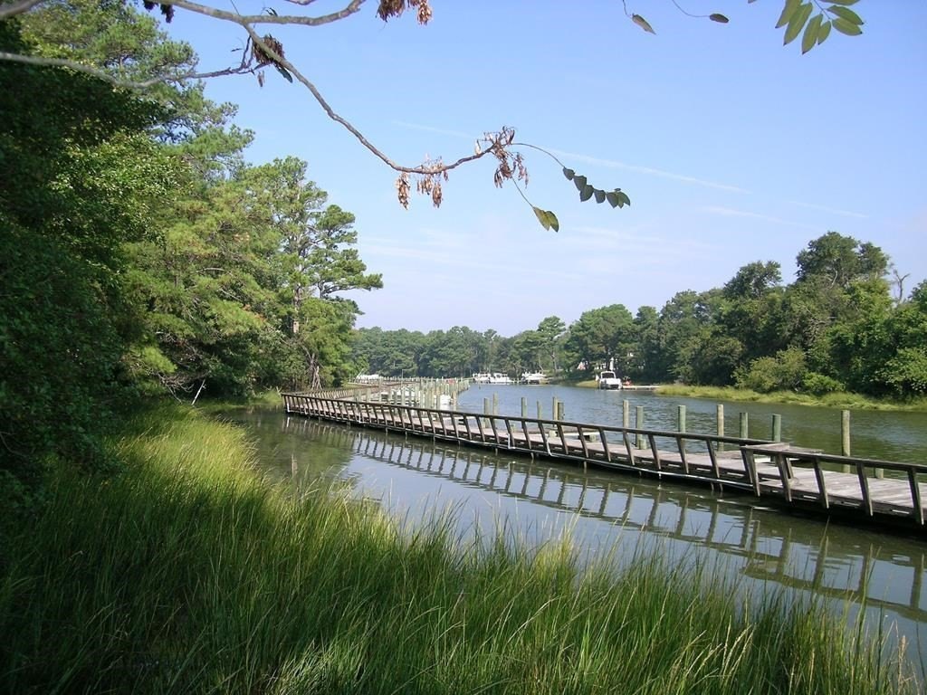 Picture 4