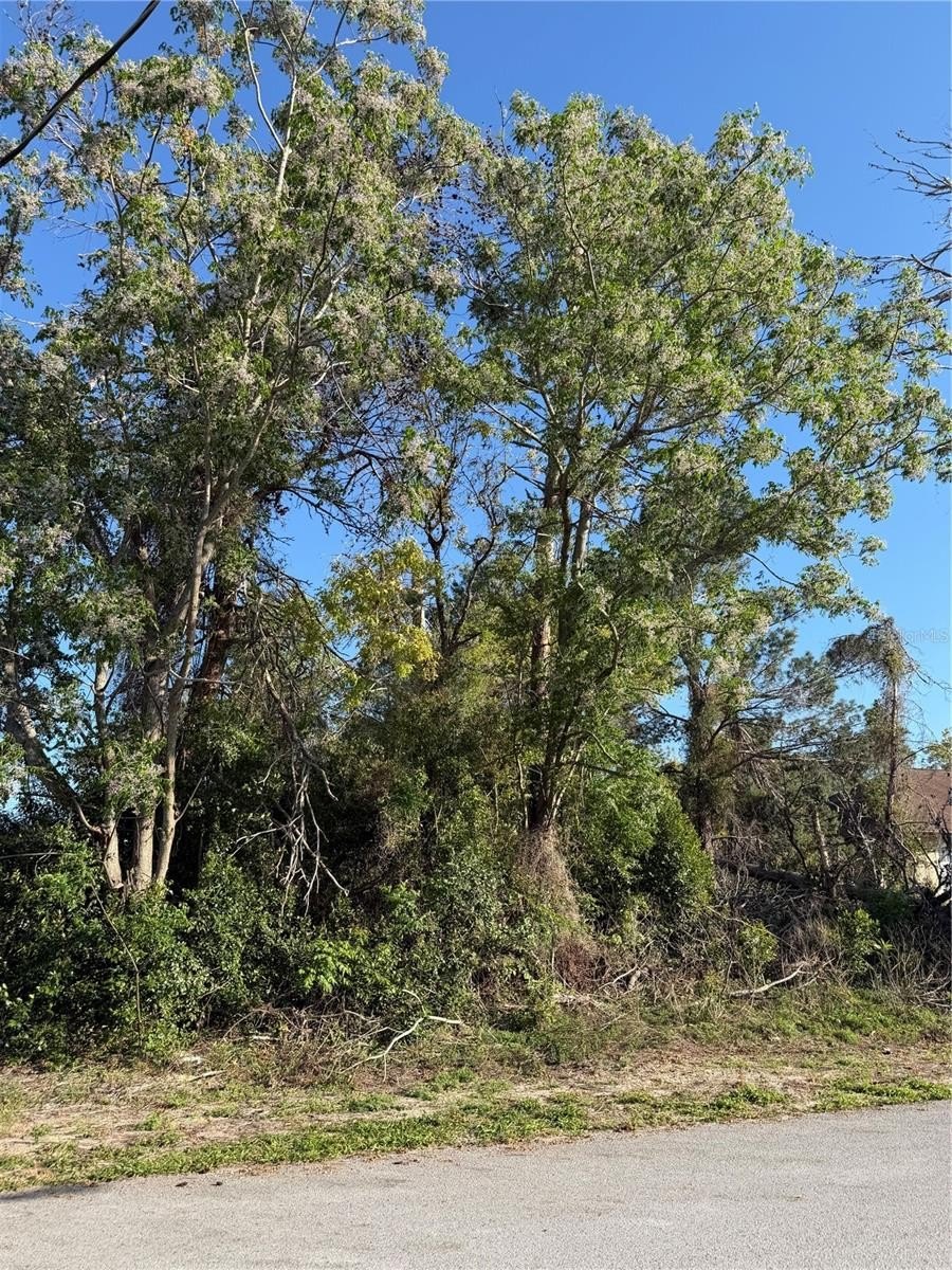 Residential Lot in Spring Hill