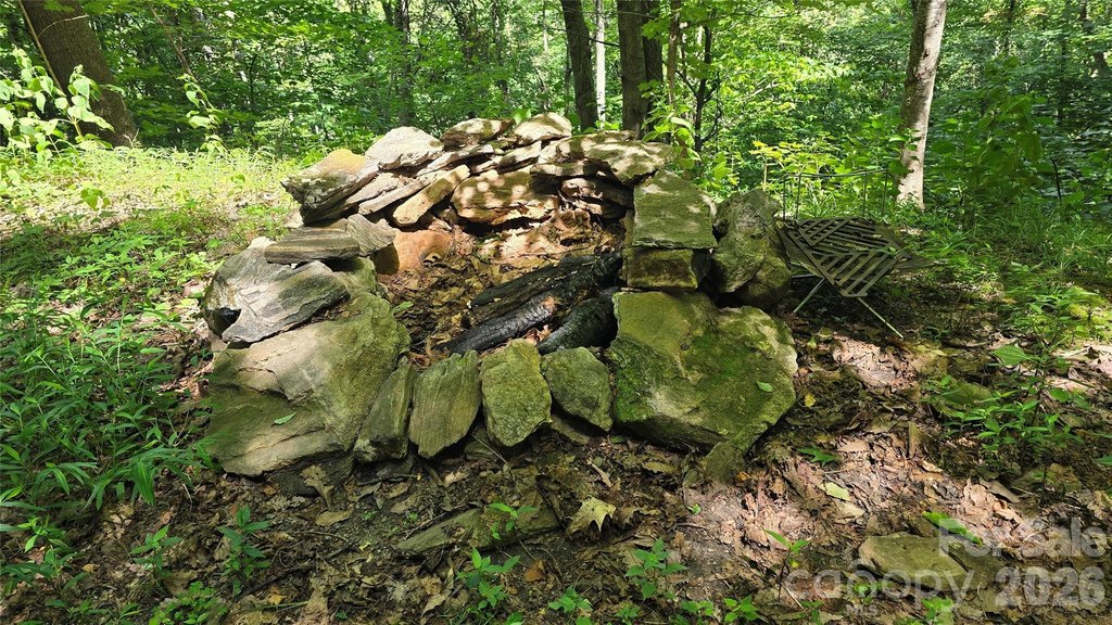 Picture 8