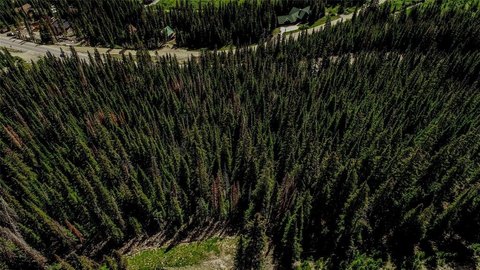 LAND - BRECKENRIDGE, CO