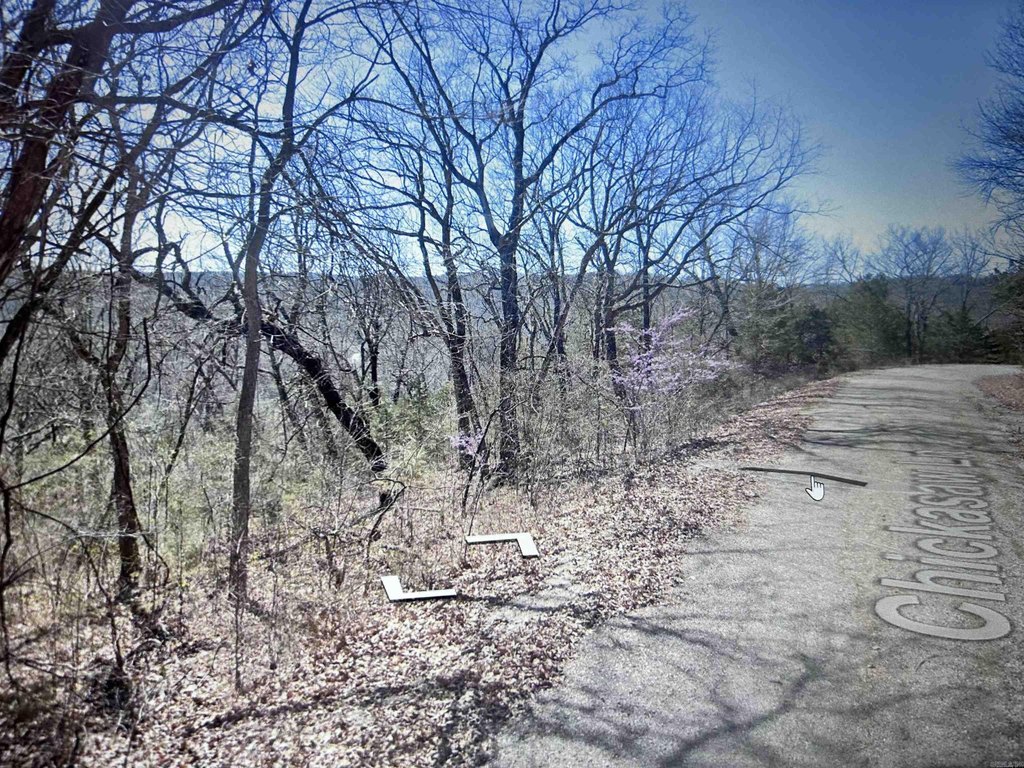 Picture 2