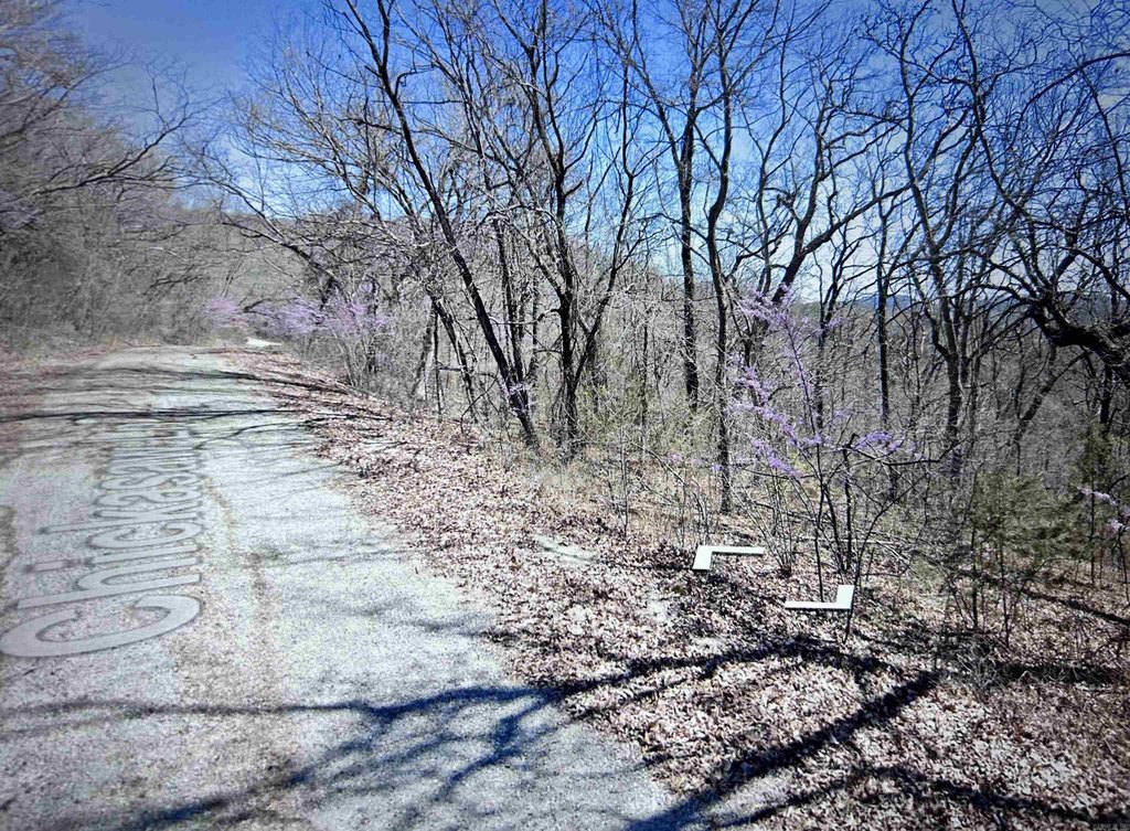 Picture 3