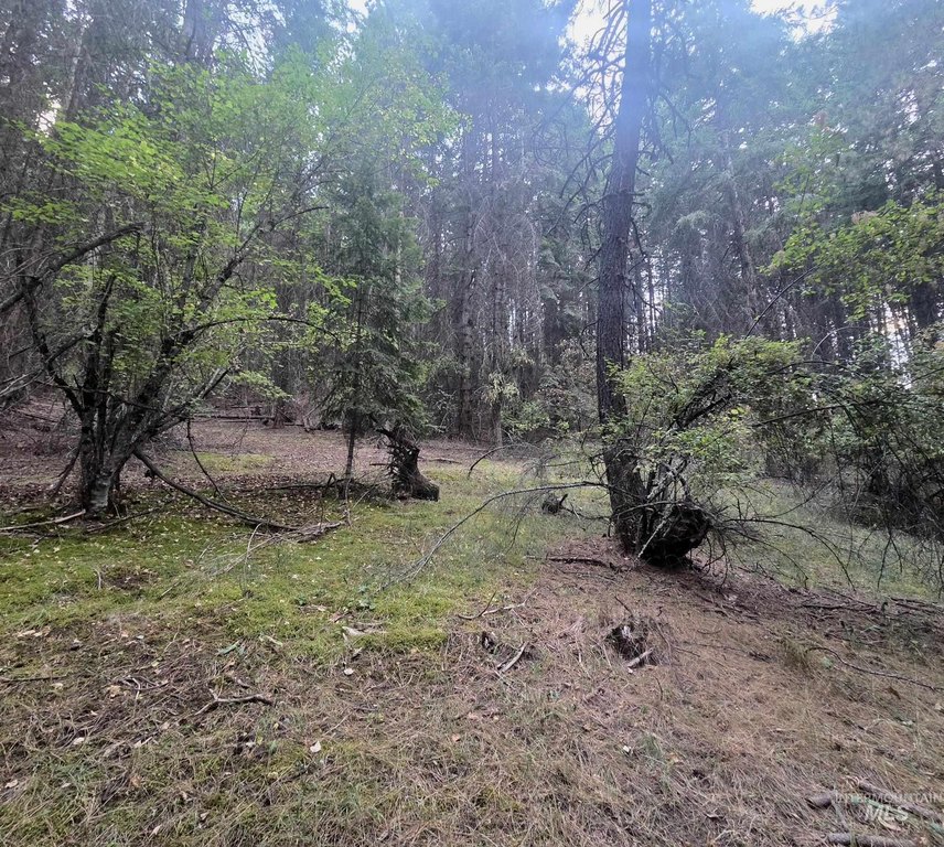 Picture 10