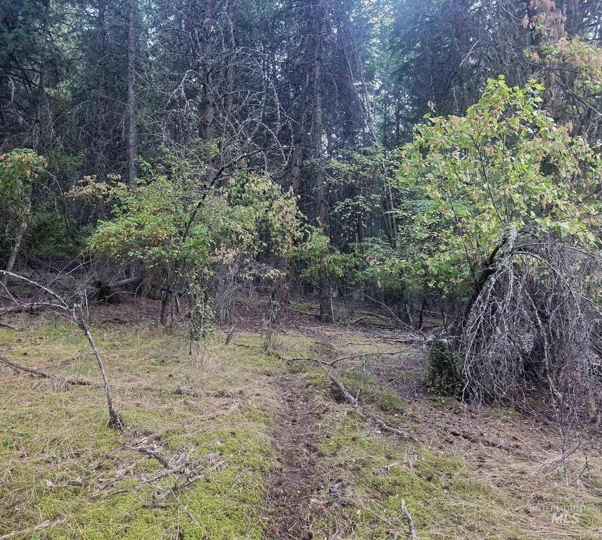 Picture 16