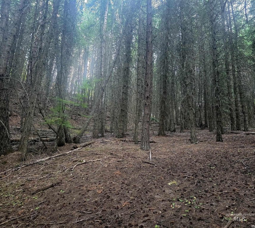 Picture 9