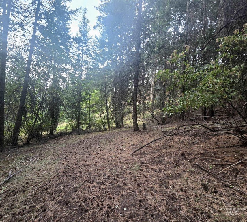 Picture 14
