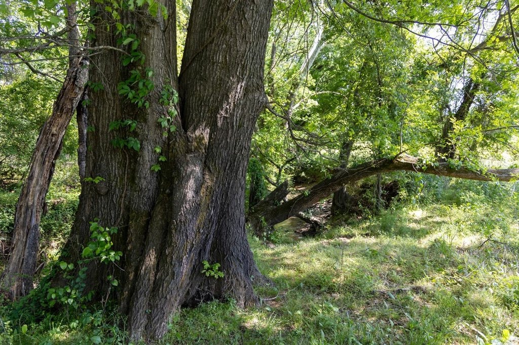 Picture 33