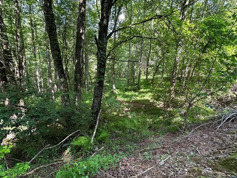 Land in Bear Paw Views