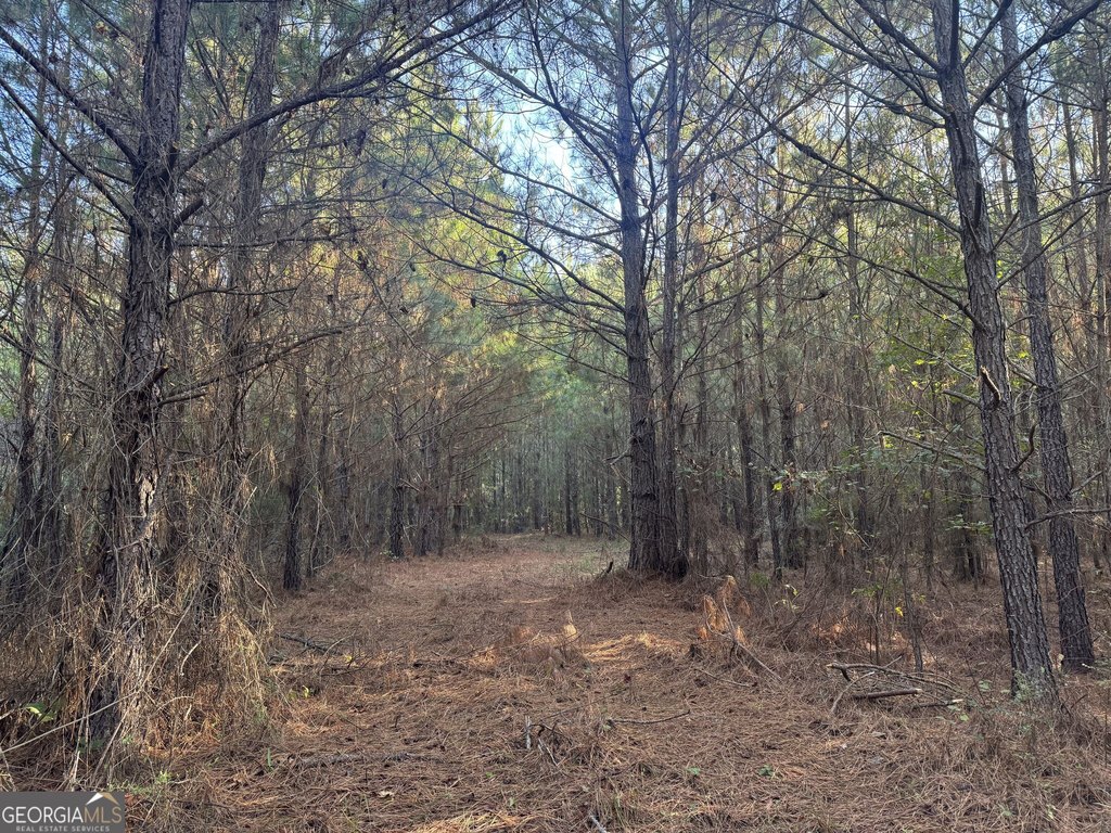 Picture 2